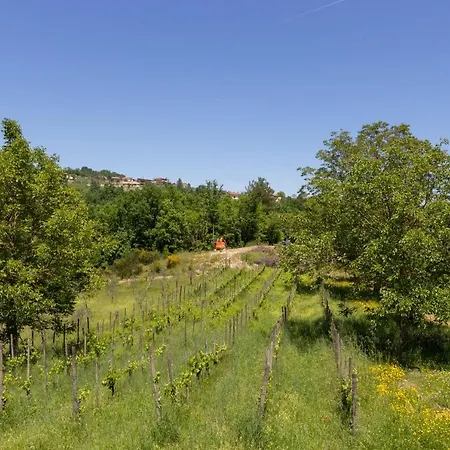 Farm stay Nina - Irpinia